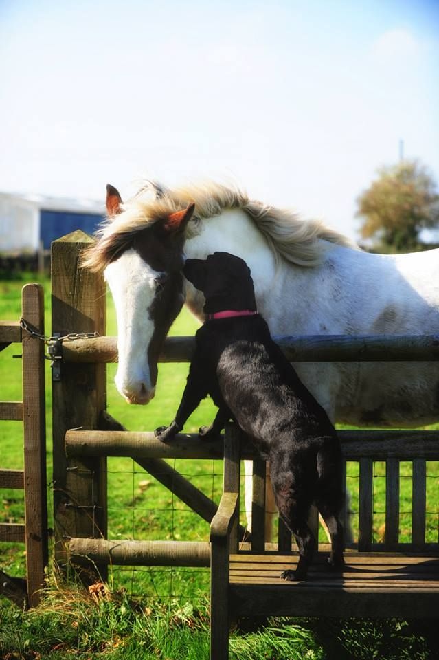 4ed48b099f4a7b04ea311cae6dca028d