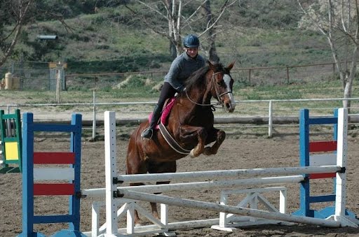 20241206174150_0-1e0b358109d55bad4854a4c8de06602d02084877-1