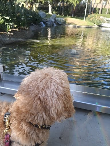 20241206174150_5-c83b8802854cc8cd9afb2d9a6561096c8e28f353-1