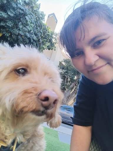 20241206174150_8-fa795f77c033eed56b47eb50270785a88bf8a3b8-1