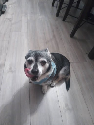 20241206174150_9-Img1