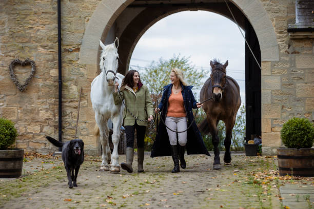 Two female friends walking their pet horses on a cobbled path using reins through a courtyard area at one of their homes in Newcastle upon Tyne, England. One of their dogs is walking ahead of them.