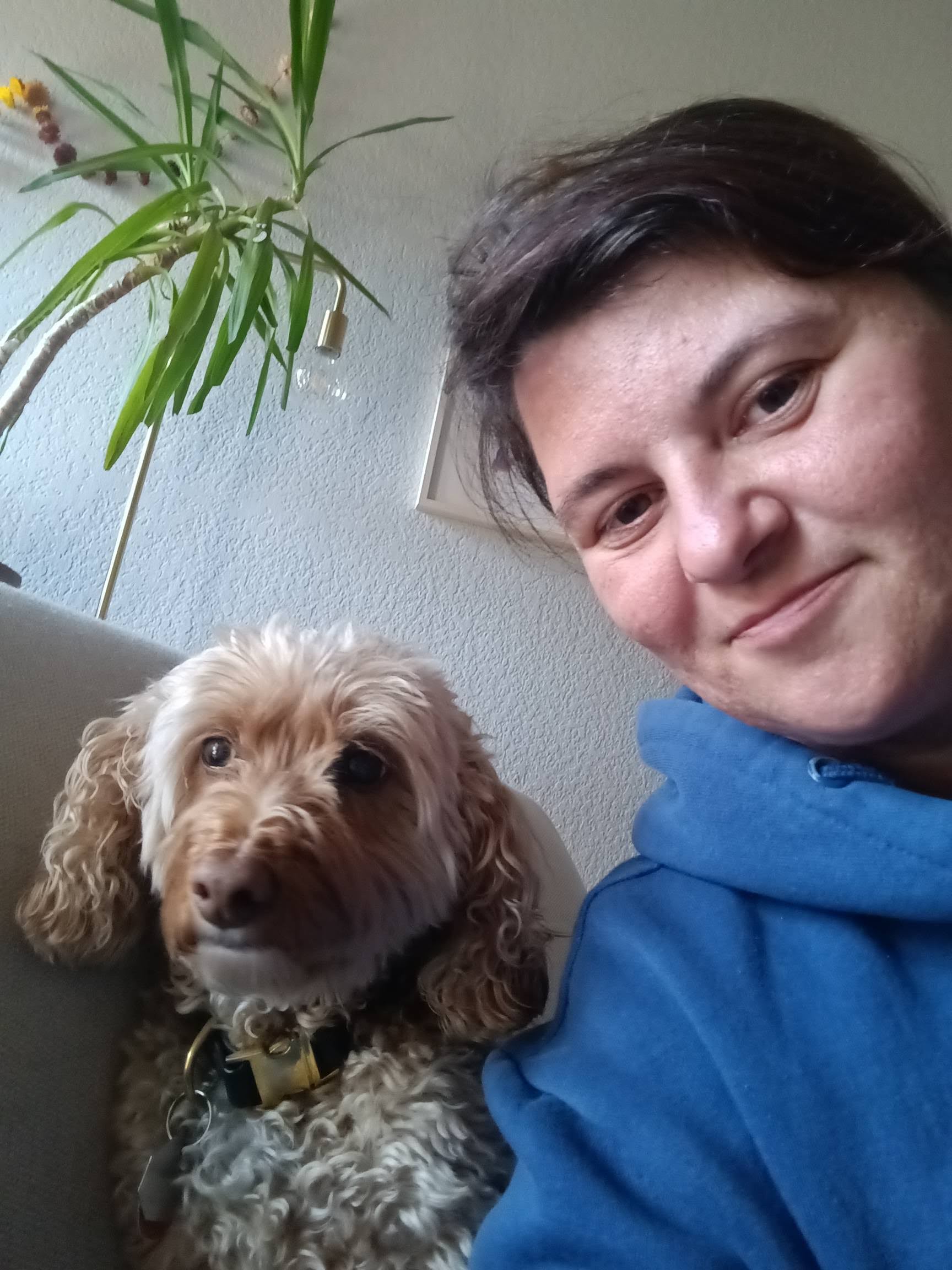 7fa2a0c91eff403809cc58188834da67090437b3-1