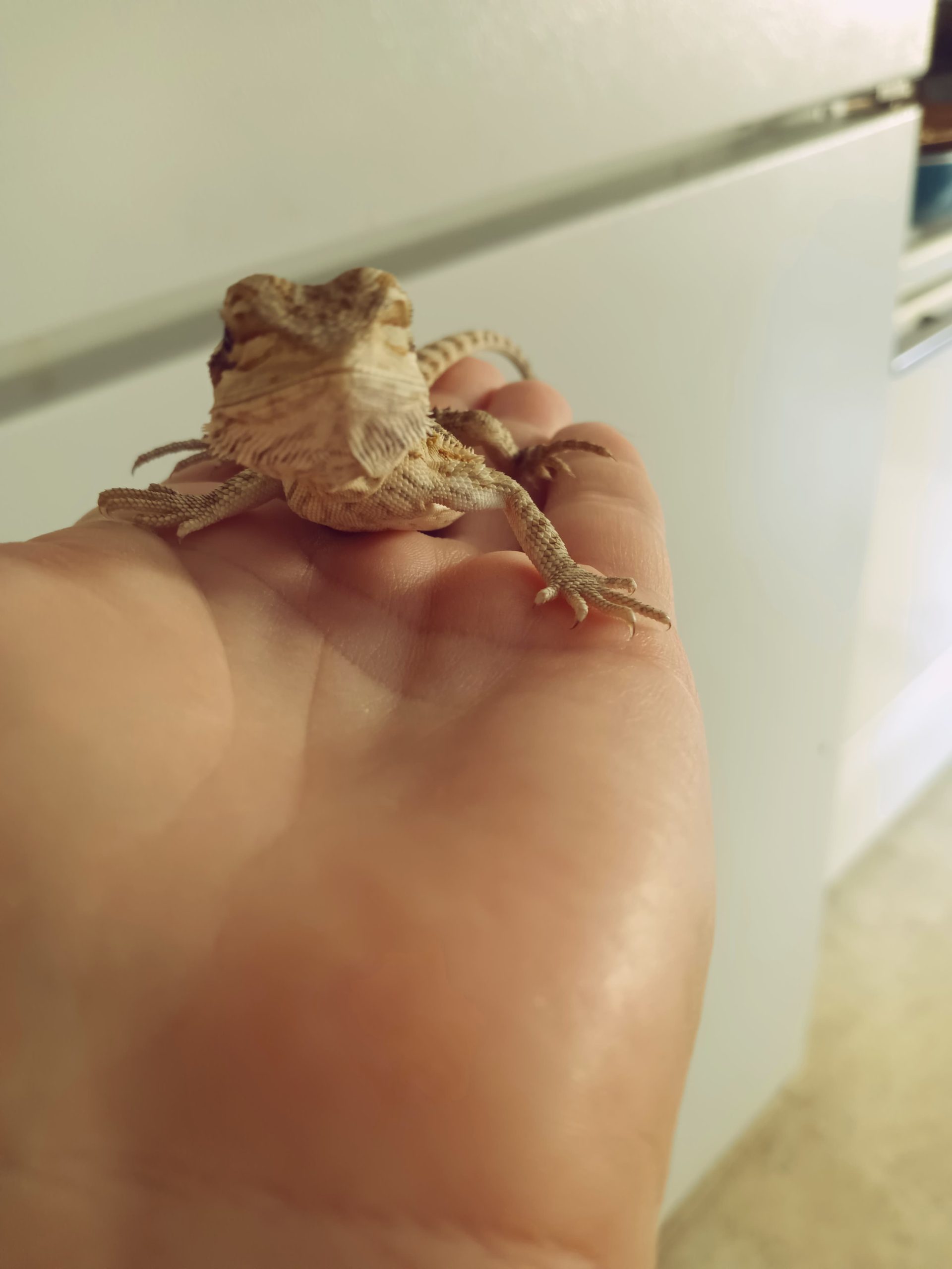 299301321_3055714024667627_4056535777089478987_n